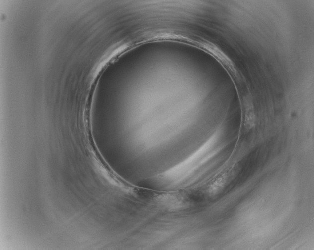 X0000071960806200607071451