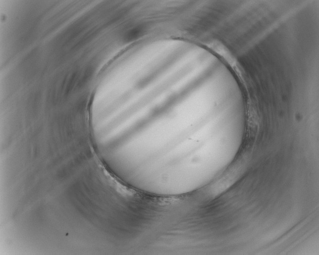 X0000071960807200607071451