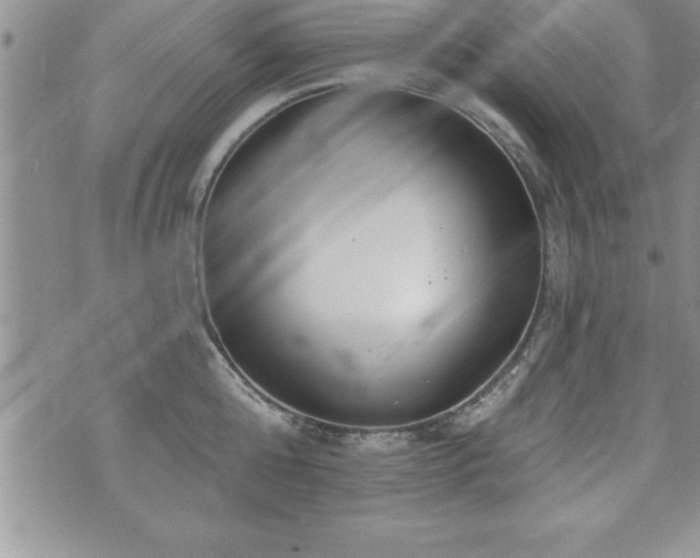 X0000071960808200607071451