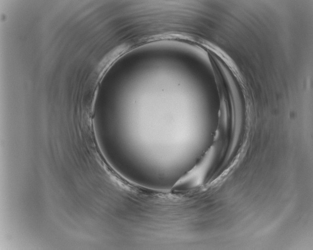 X0000071960809200607071451