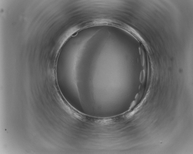 X0000071960810200607071451