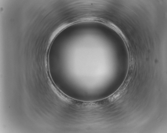 X0000071960811200607071451