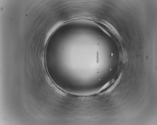 X0000071960812200607071451