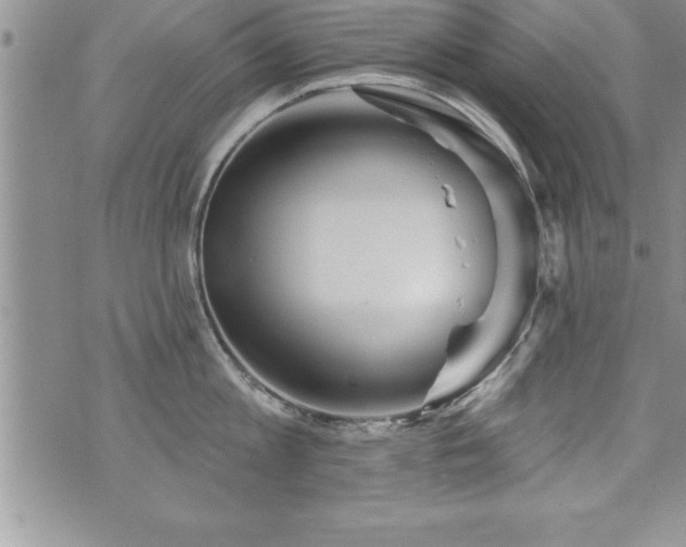 X0000071960813200607071451