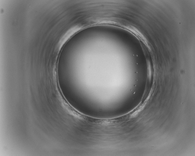 X0000071960814200607071451