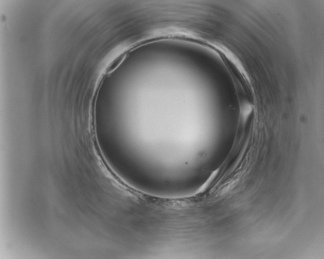 X0000071960815200607071451