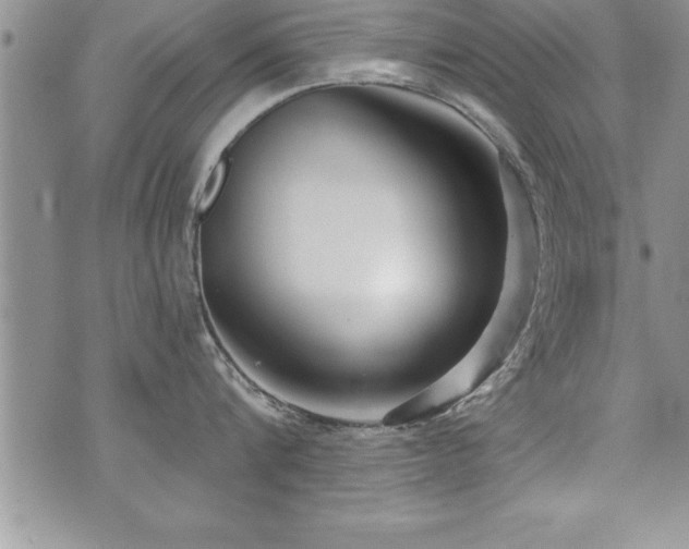 X0000071960816200607071451