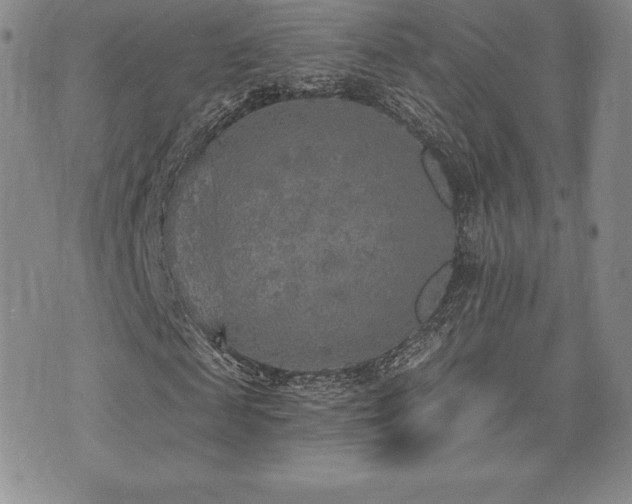 X0000071960817200607071450