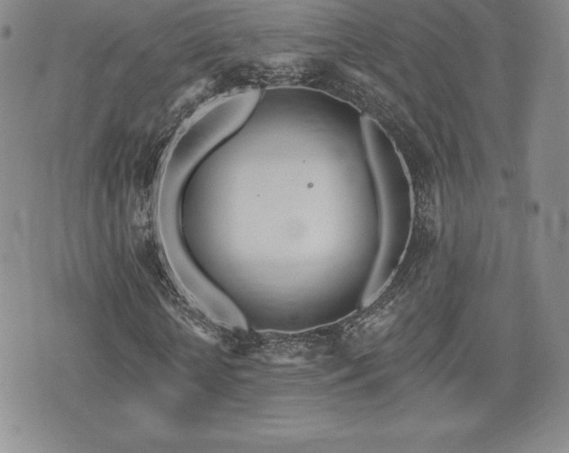 X0000071960818200607071450