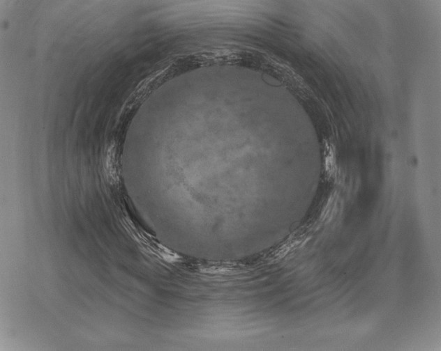 X0000071960819200607071450