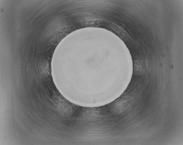 X0000071960820200607071450