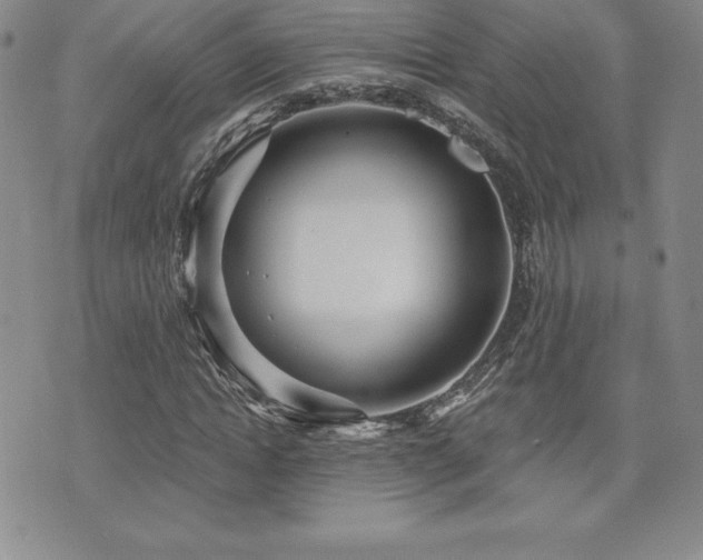 X0000071960822200607071450