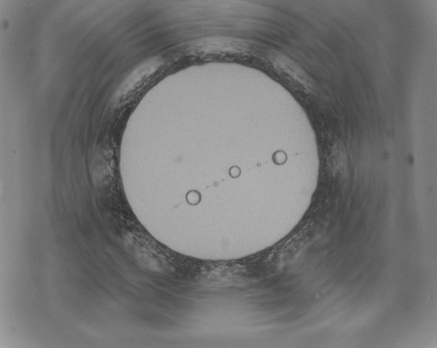 X0000071960824200607071450