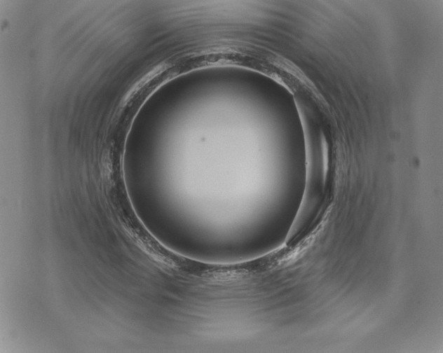 X0000071960826200607071450