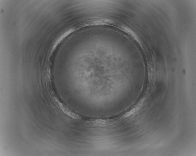 X0000071960827200607071450