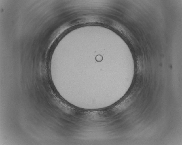 X0000071960828200607071450