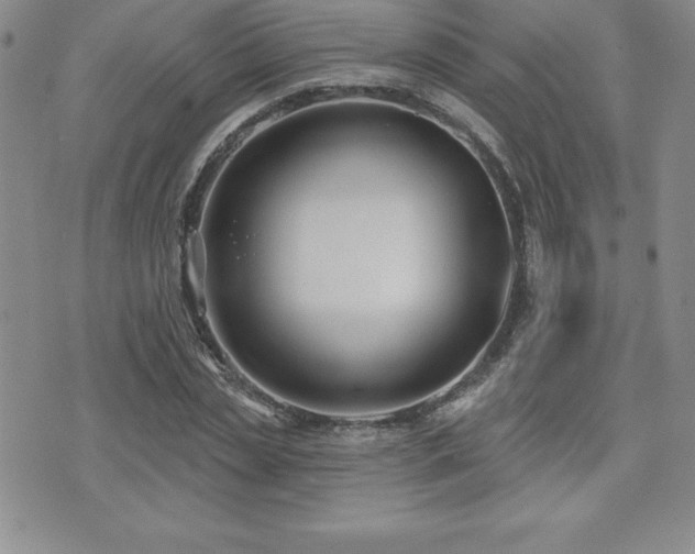 X0000071960829200607071450