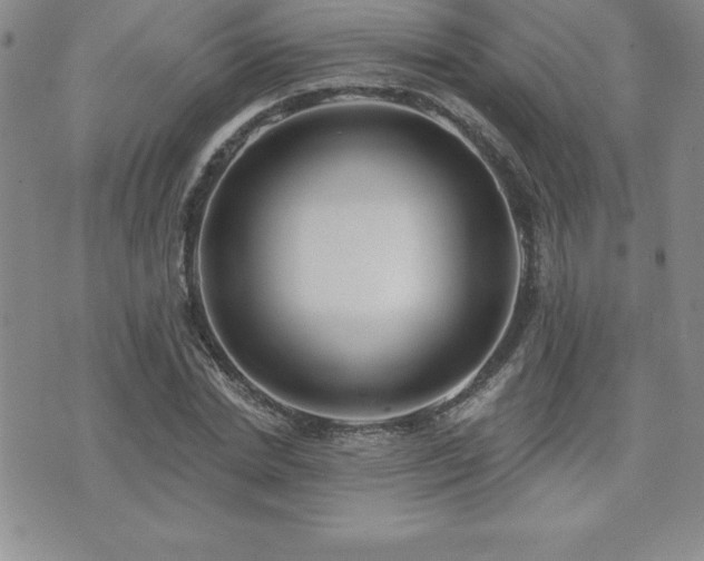 X0000071960830200607071450