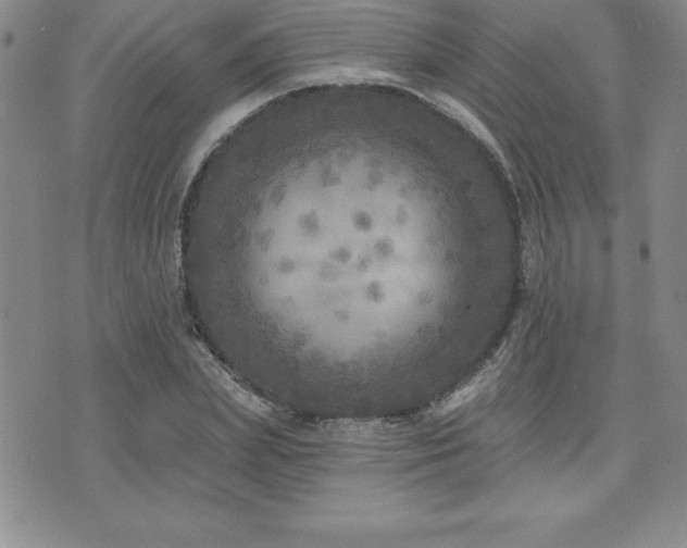 X0000071960831200607071450