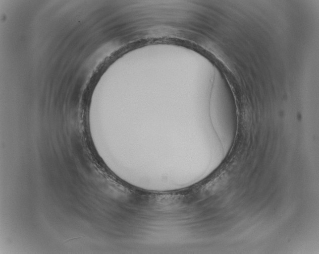 X0000071960832200607071450