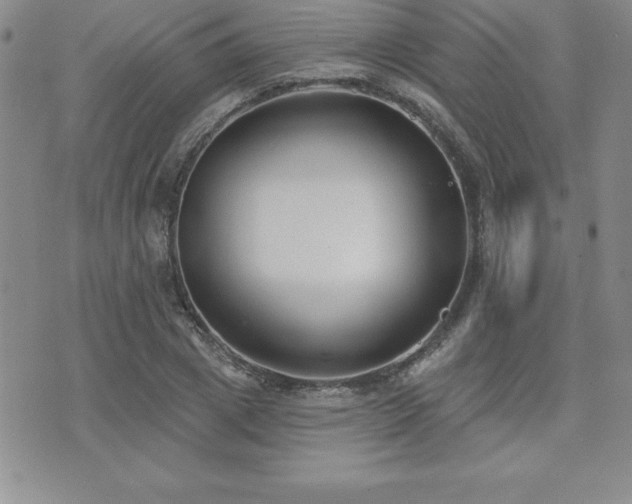 X0000071960833200607071450