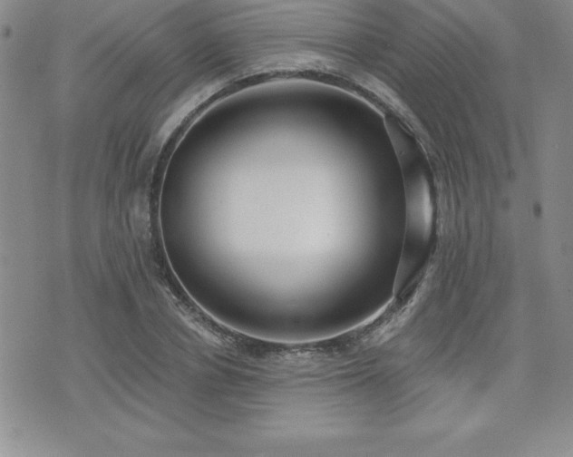 X0000071960834200607071450