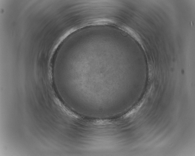 X0000071960835200607071450