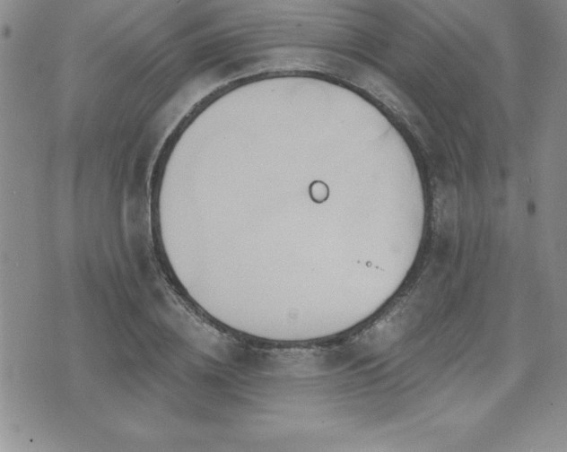 X0000071960836200607071450