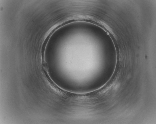 X0000071960837200607071450