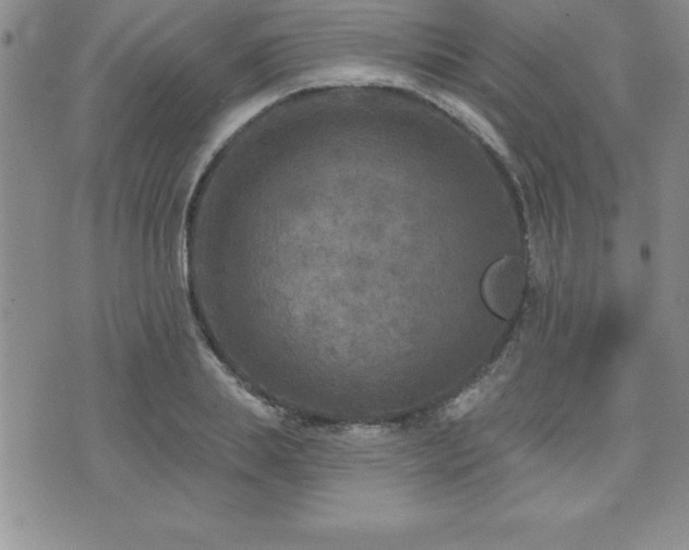 X0000071960839200607071450