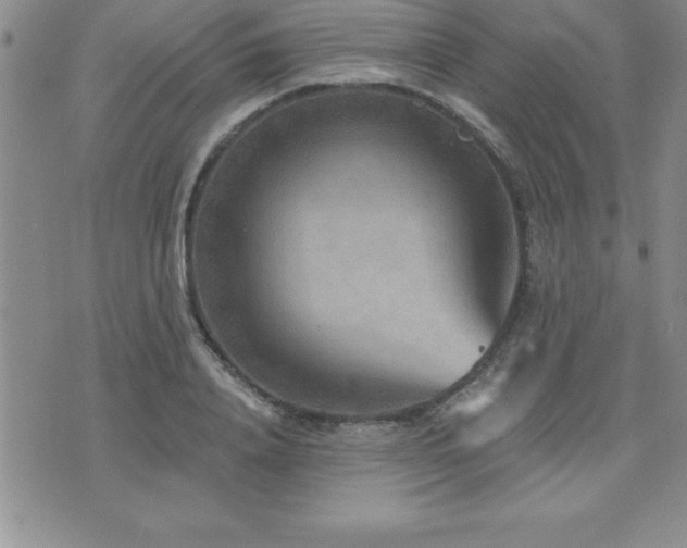 X0000071960840200607071450