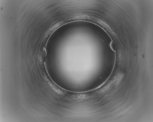 X0000071960841200607071450