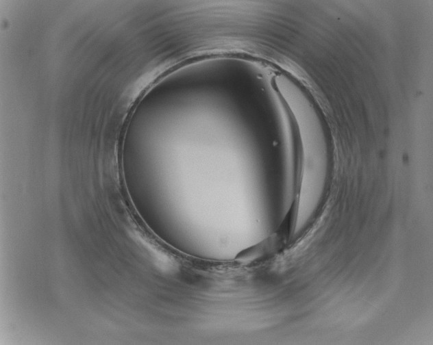 X0000071960842200607071450