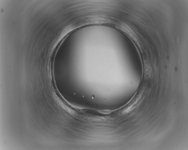 X0000071960843200607071450