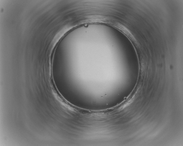 X0000071960844200607071451