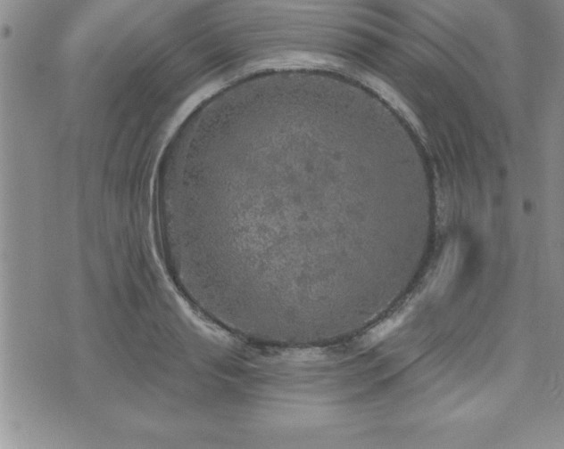 X0000071960845200607071451