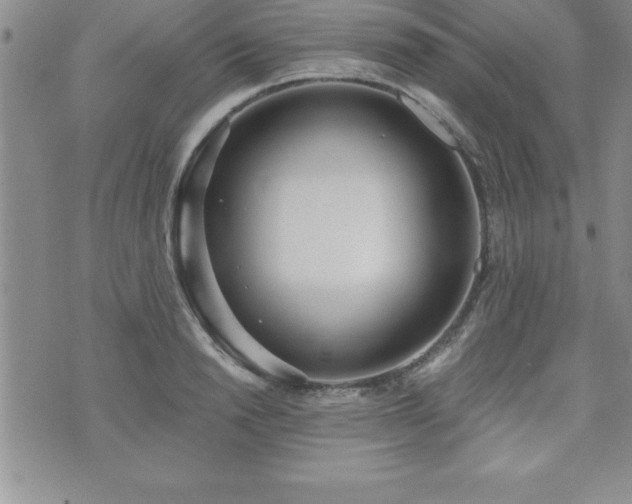 X0000071960846200607071451