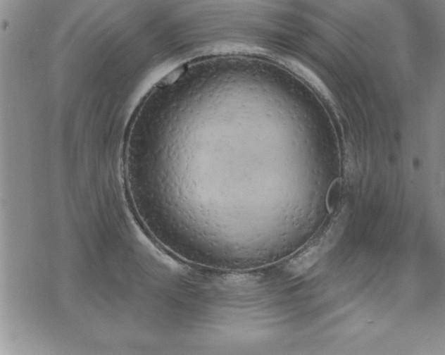 X0000071960847200607071451