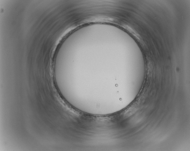 X0000071960848200607071451