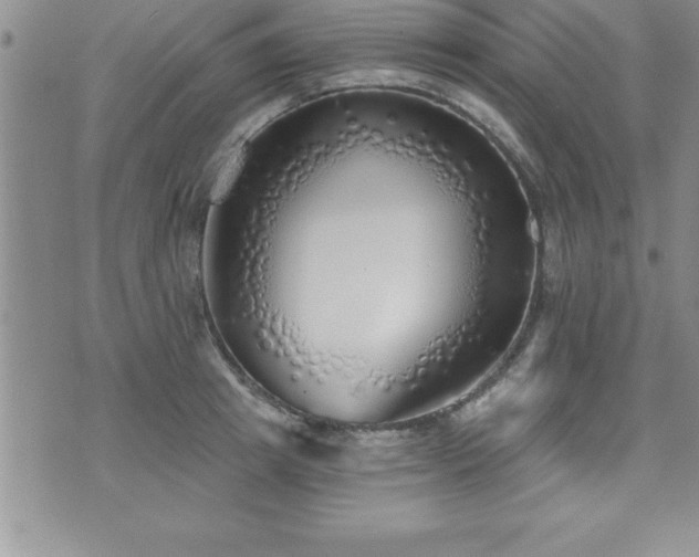 X0000071960849200607071451