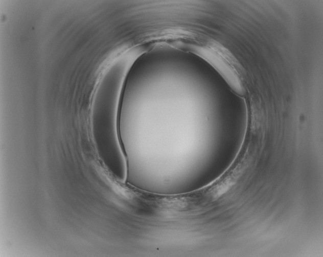 X0000071960850200607071451