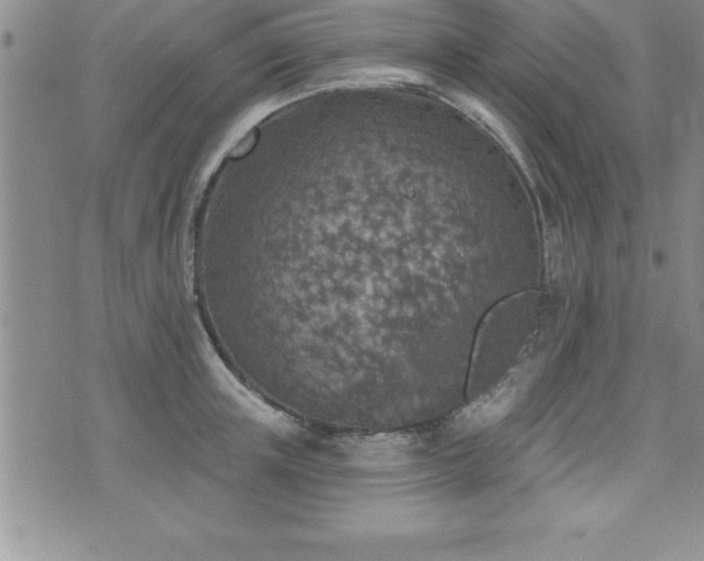 X0000071960851200607071451