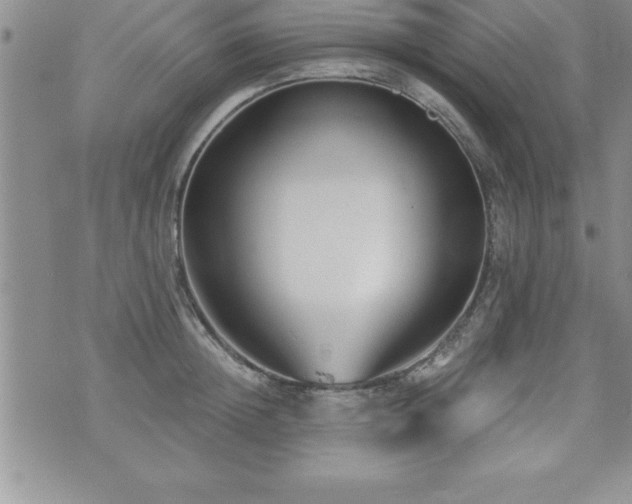 X0000071960852200607071451