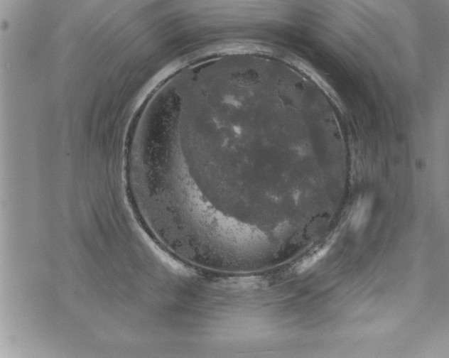 X0000071960853200607071451