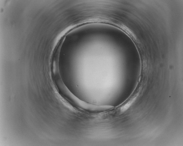 X0000071960854200607071451