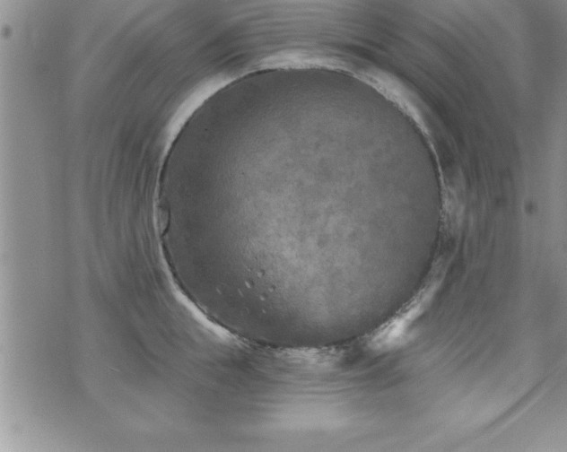 X0000071960855200607071451