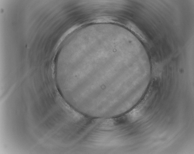 X0000071960856200607071451