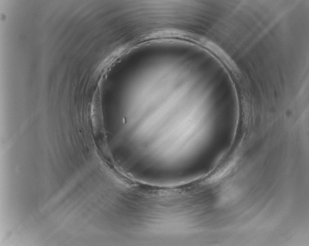 X0000071960857200607071451