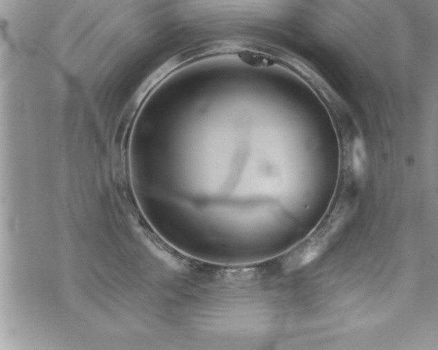 X0000071960858200607071451