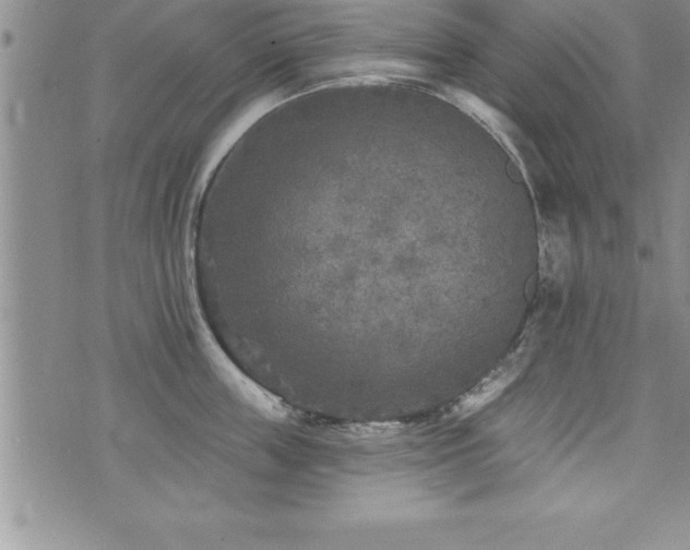 X0000071960859200607071451